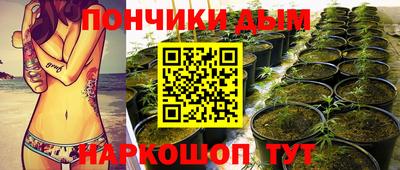 крисы Старая Купавна