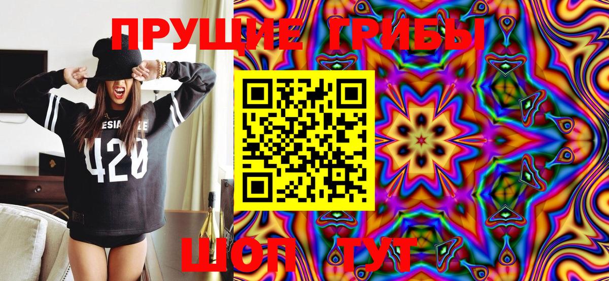 Галлюциногенные грибы Psilocybine cubensis  Галлюциногенные грибы Psilocybine cubensis  Сызрань  Вход с VPN 